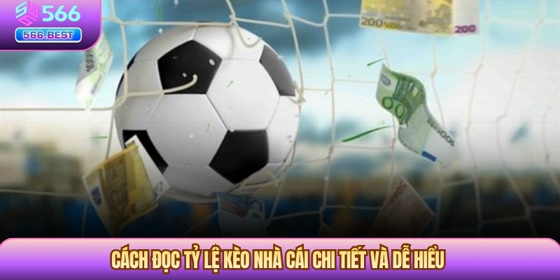 Cách đọc tỷ lệ kèo nhà cái chuẩn xác