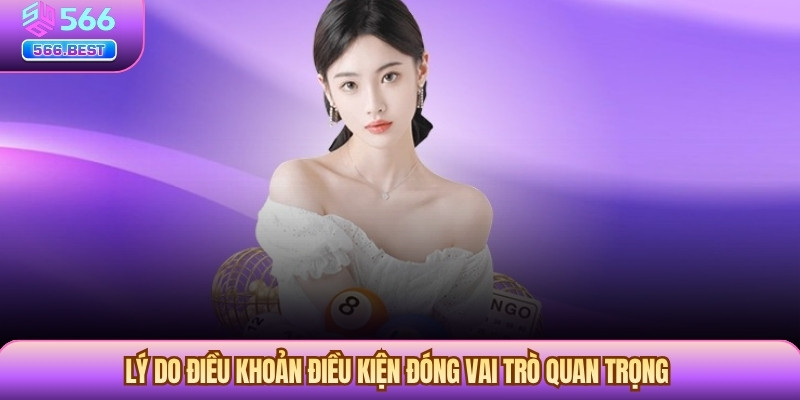 Lý do Điều khoản Điều kiện đóng vai trò quan trọng
