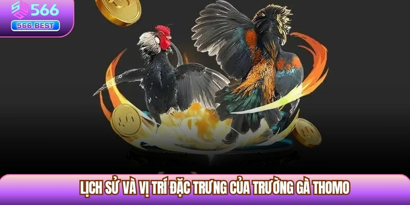Lịch sử và vị trí đặc trưng của Trường Gà Thomo